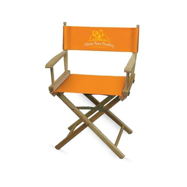 Printed Director’s Chair