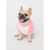 T Shirts for Dogs - Pink