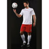 Lotto Short Sleeved Football Kit (White / Flame)