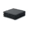 Slate Coasters set of 4