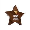 Wooden Star Achievement Awards 
