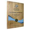 Wooden Plaque Achievement Awards