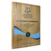 Wooden Plaque Awards