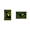 High Visibility Dog Waistcoat High Visibility Dog Waistcoat