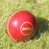 Promotional Branded Cricket Balls