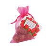 Tulip Bulbs Pouch in Pink Colour