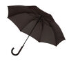 Automatic Windproof Umbrella in Black