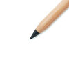 Bamboo Inkless Pen (metal alloy tip)