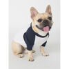 T Shirts for Dogs - Navy