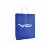 Large Twist Handle Paper Bags in Blue