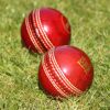 Promotional Branded Cricket Balls