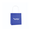 Twist Handle Paper Bags Small Size in Blue