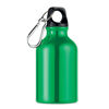 Drinking Bottle with Carabiner (300ml) - Green