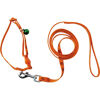 Cat Lead (Orange) - seen with matching collar