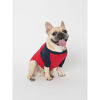 T Shirts for Dogs - Red T Shirts for Dogs - Red