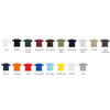 Fruit of the Loom  T-Shirt Colours
