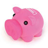 Piggy Bank with Rubber Nose (Pink)