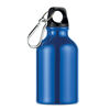 Drinking Bottle with Carabiner (300ml) - Blue