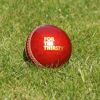 Promotional Branded Cricket Balls