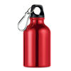 Sports Bottle in Aluminium with Carabiner (300ml)