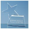 14cm Optical Crystal Rising Star Award
