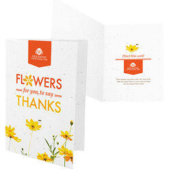 Seed paper greetings cards