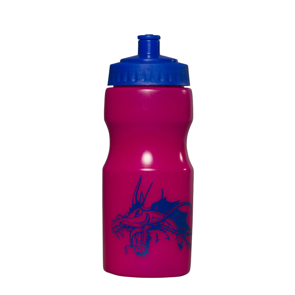 Apollo Sports Bottle 500ml