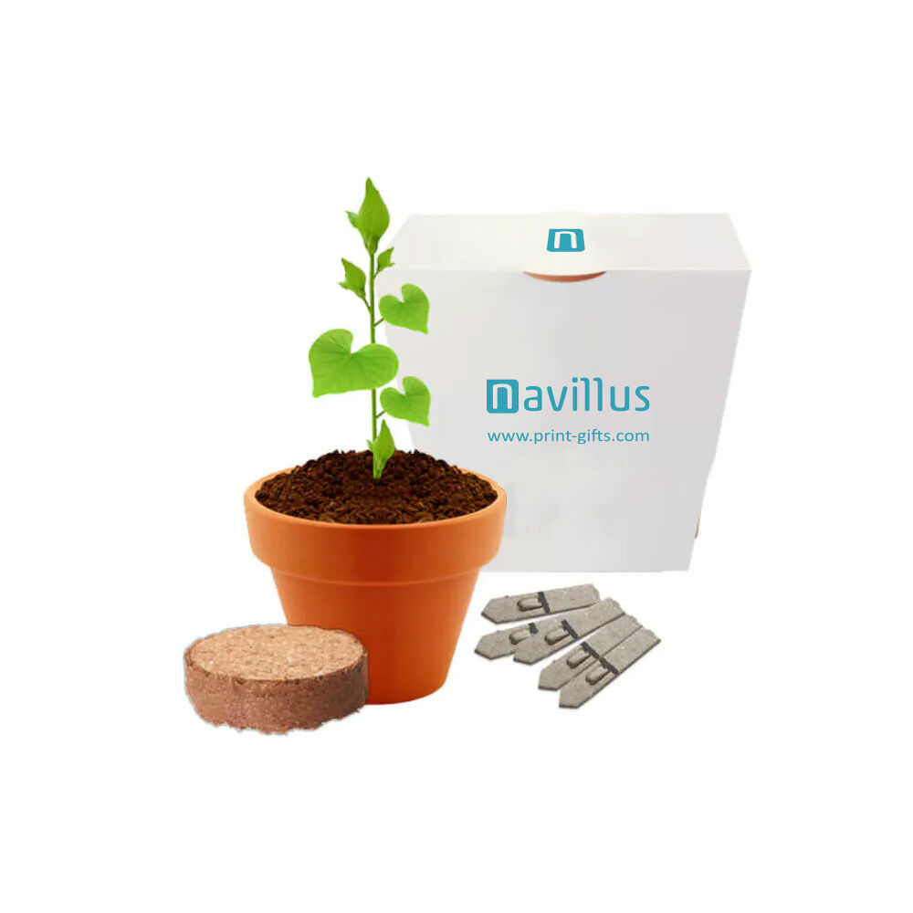 Promotional Clay Pot Garden