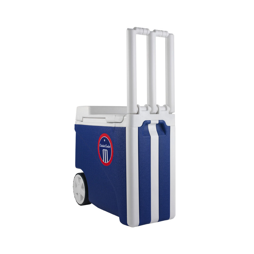 Cricket Stump Cooler Box