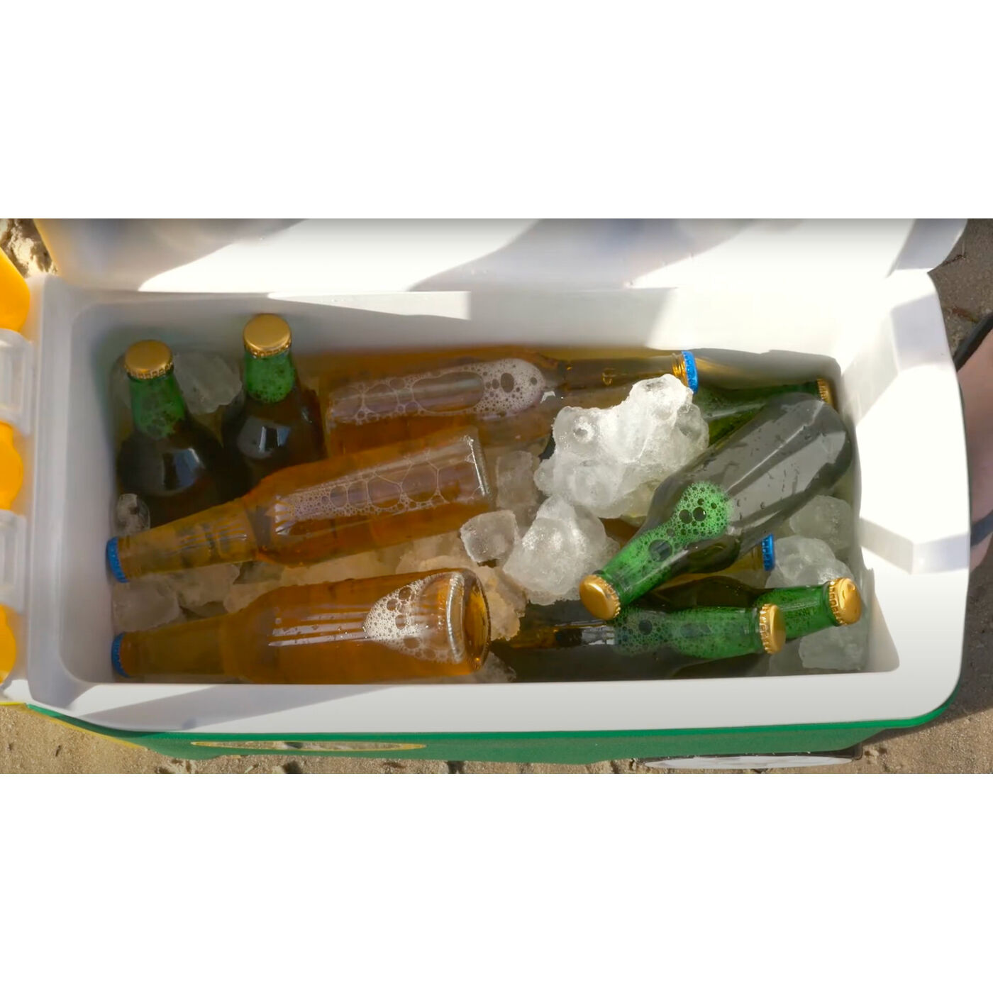 Cricket Stump Cooler Box