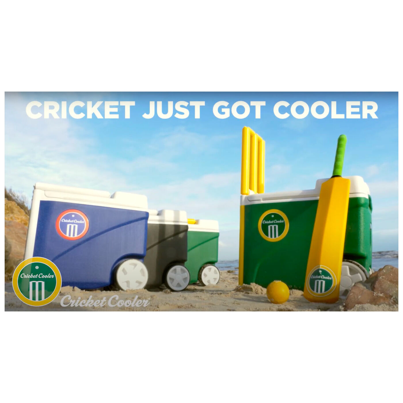 Cricket Stump Cooler Box