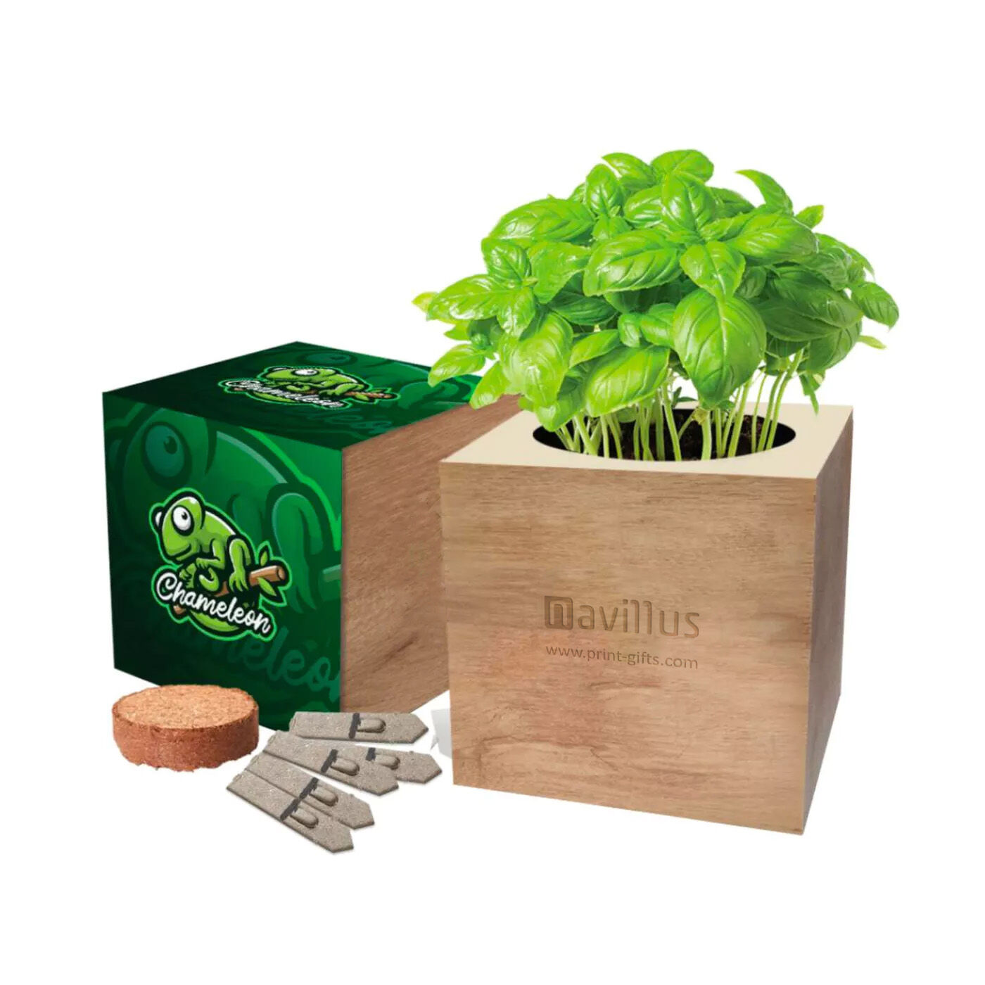 Desktop Wood Cube Garden