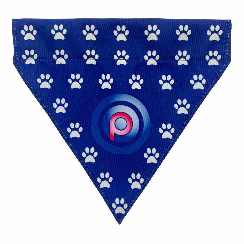 Dog Bandana (sample branding)