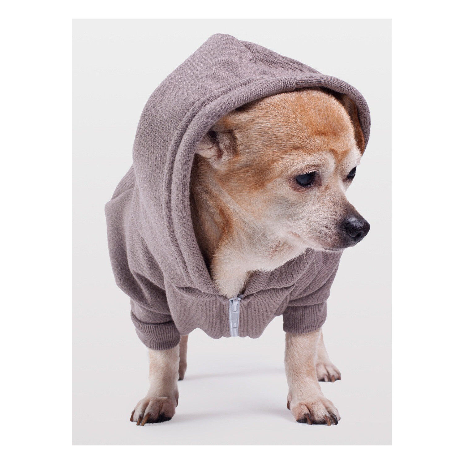 Hoodies for Dogs - Pewter