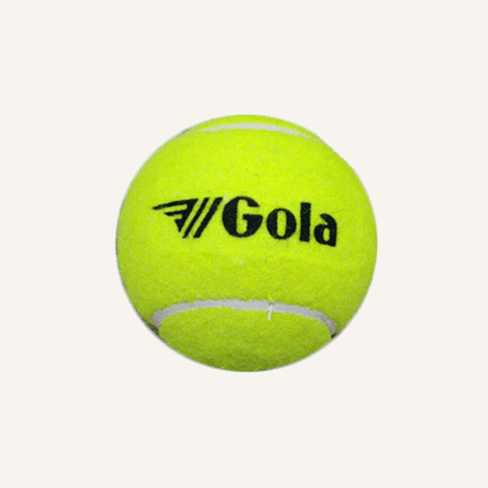 Logo Printed Ball for Dogs