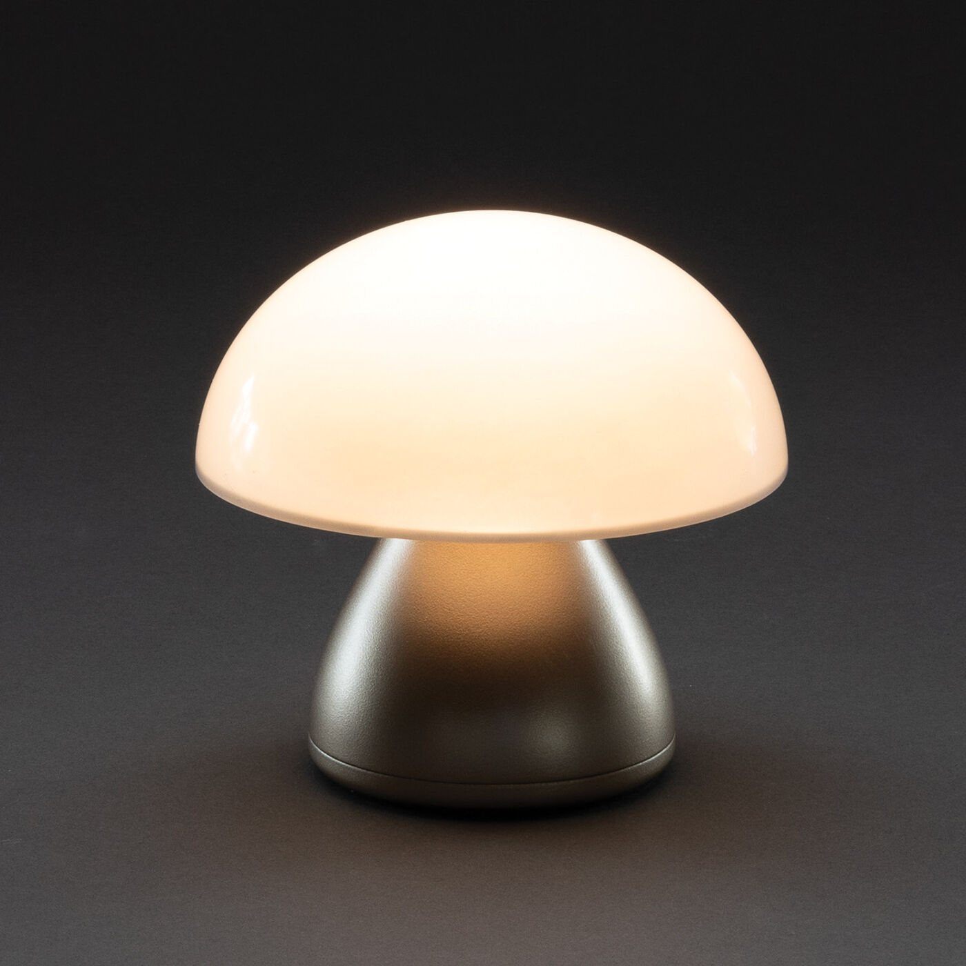 Luming Table Lamp (warm light setting)