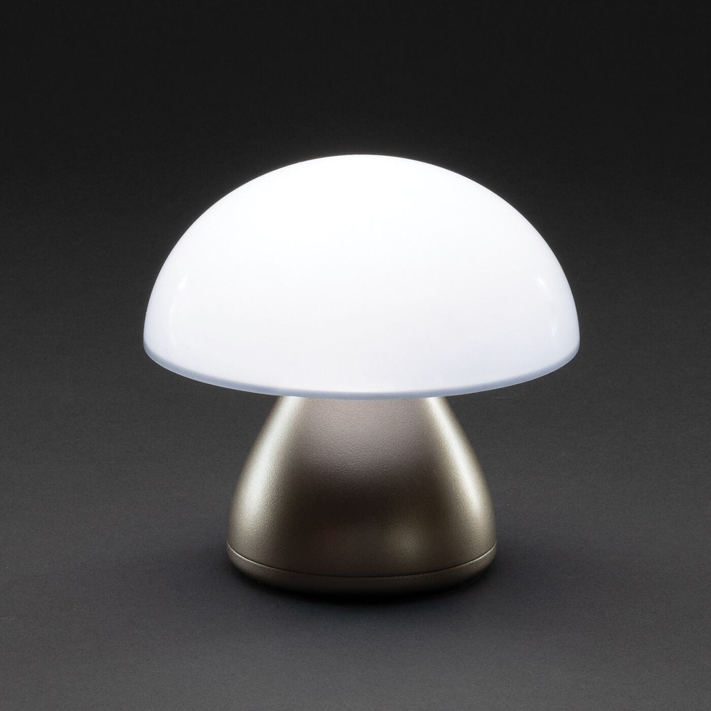 Luming Table Lamp (white light setting)