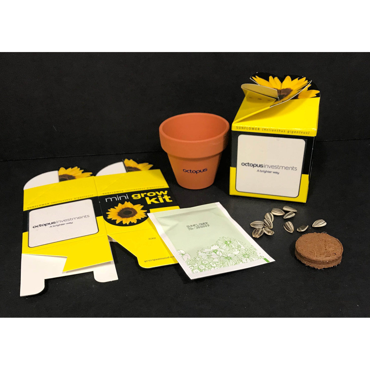 Mini Box Plant Growing Kit (contents)