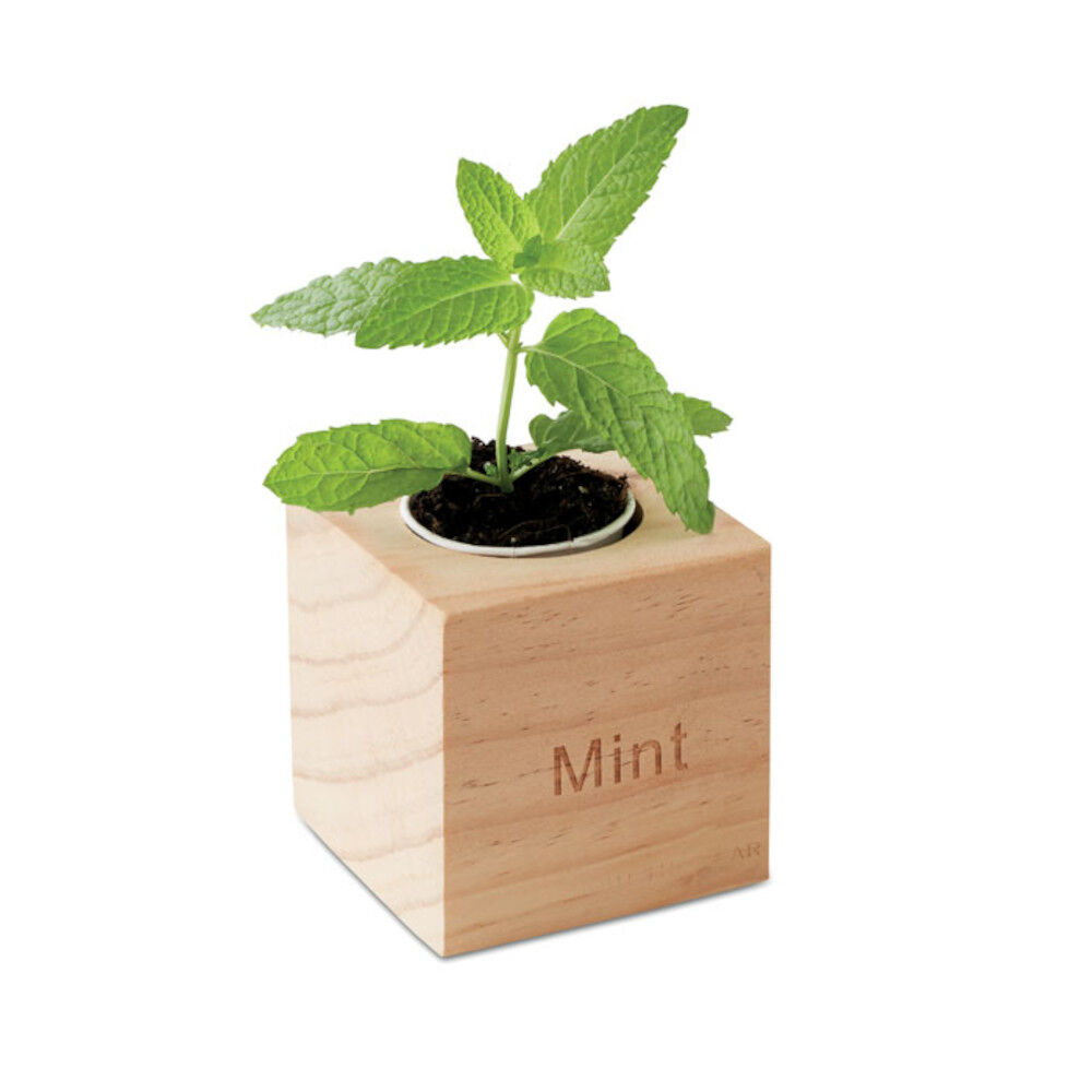 Mint Herb Growing Kit With Wooden Pot