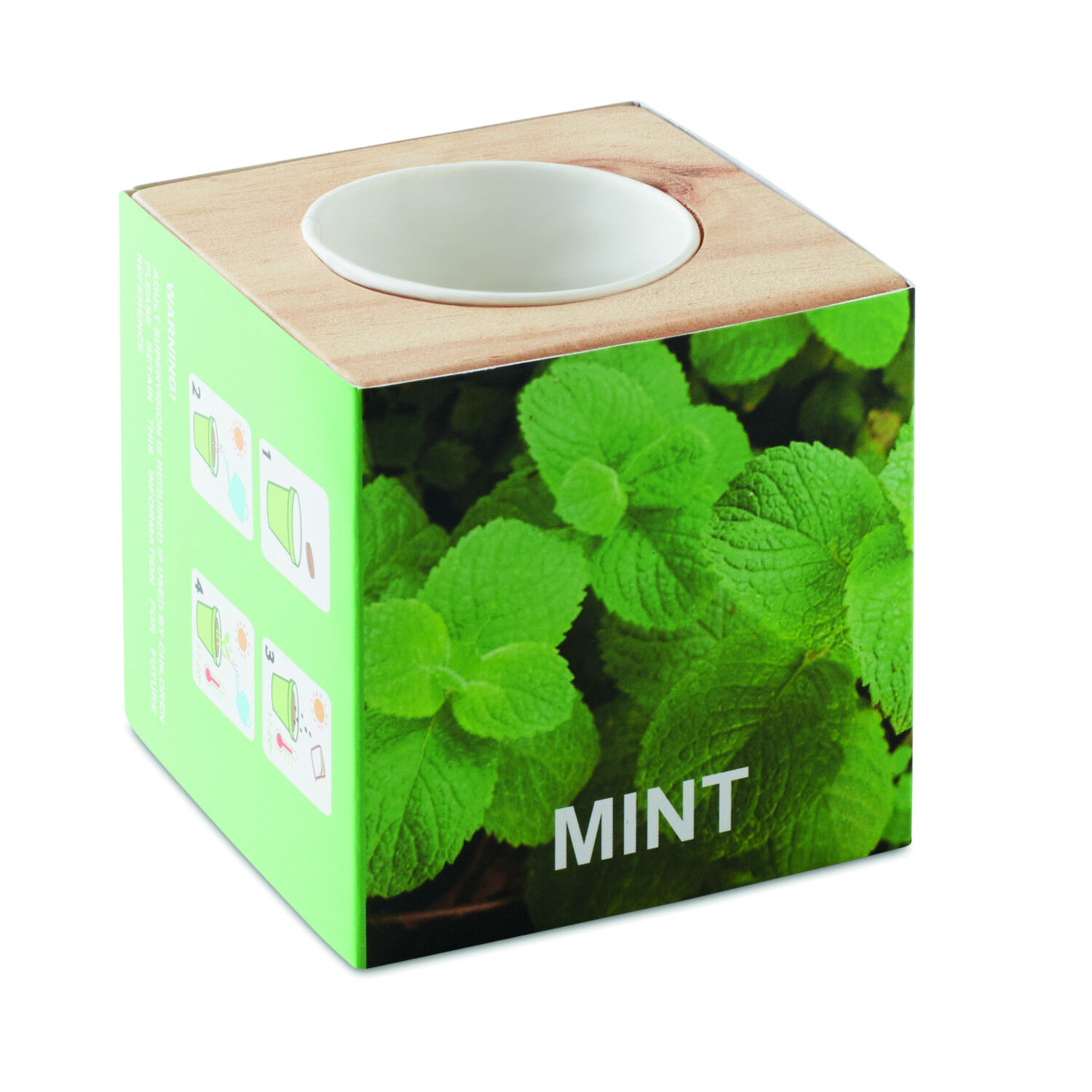 Mint Herb Growing Kit With Wooden Pot