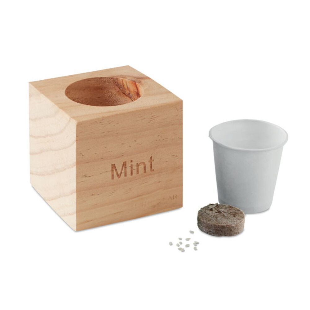 Mint Herb Growing Kit With Wooden Pot