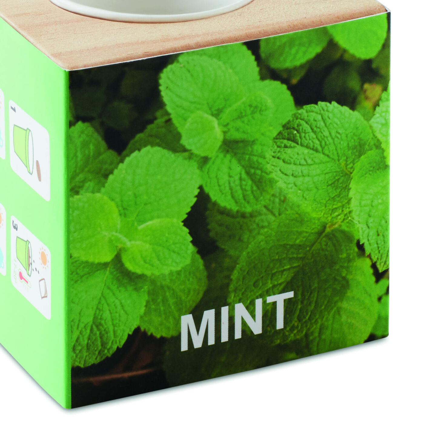 Mint Herb Growing Kit With Wooden Pot