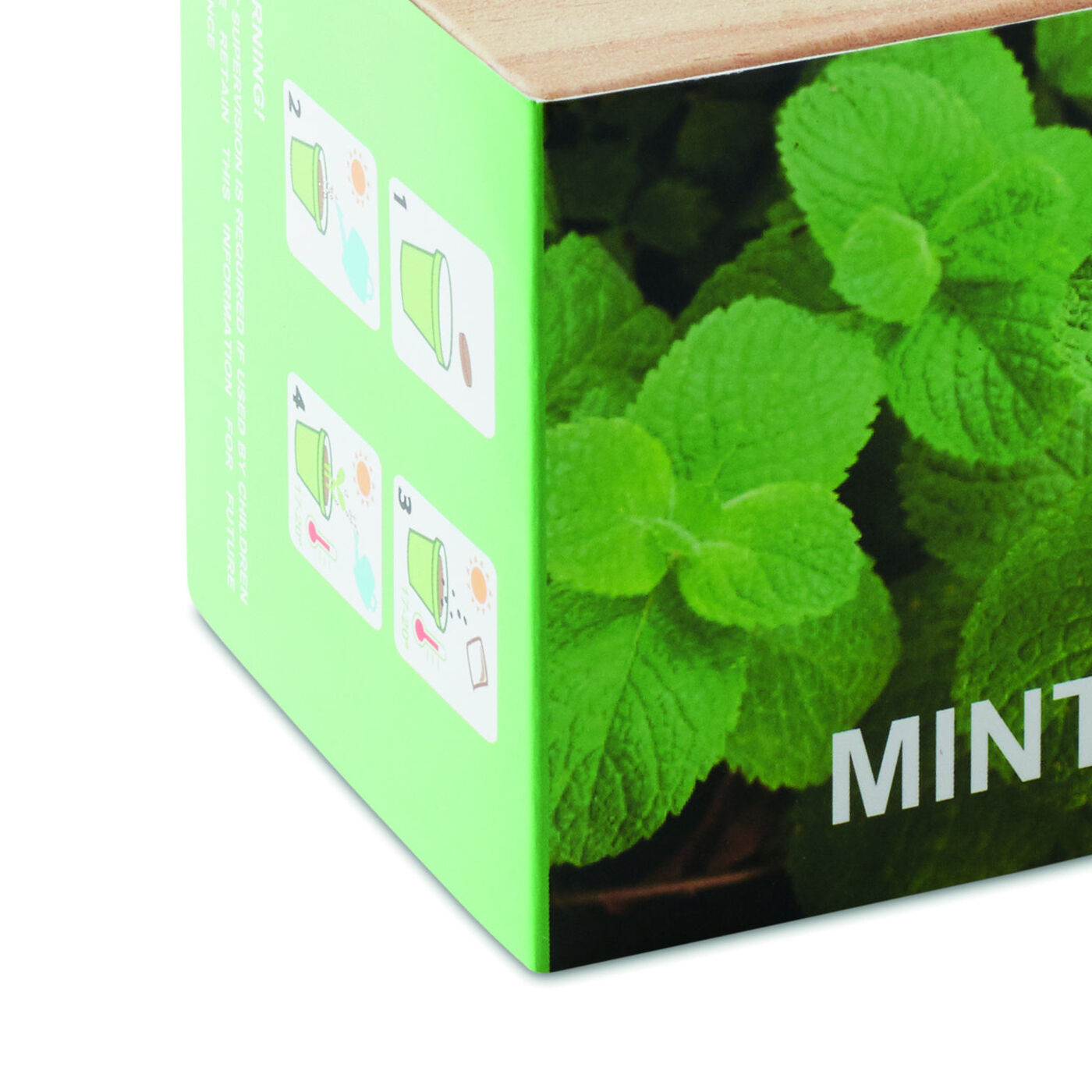 Mint Herb Growing Kit With Wooden Pot