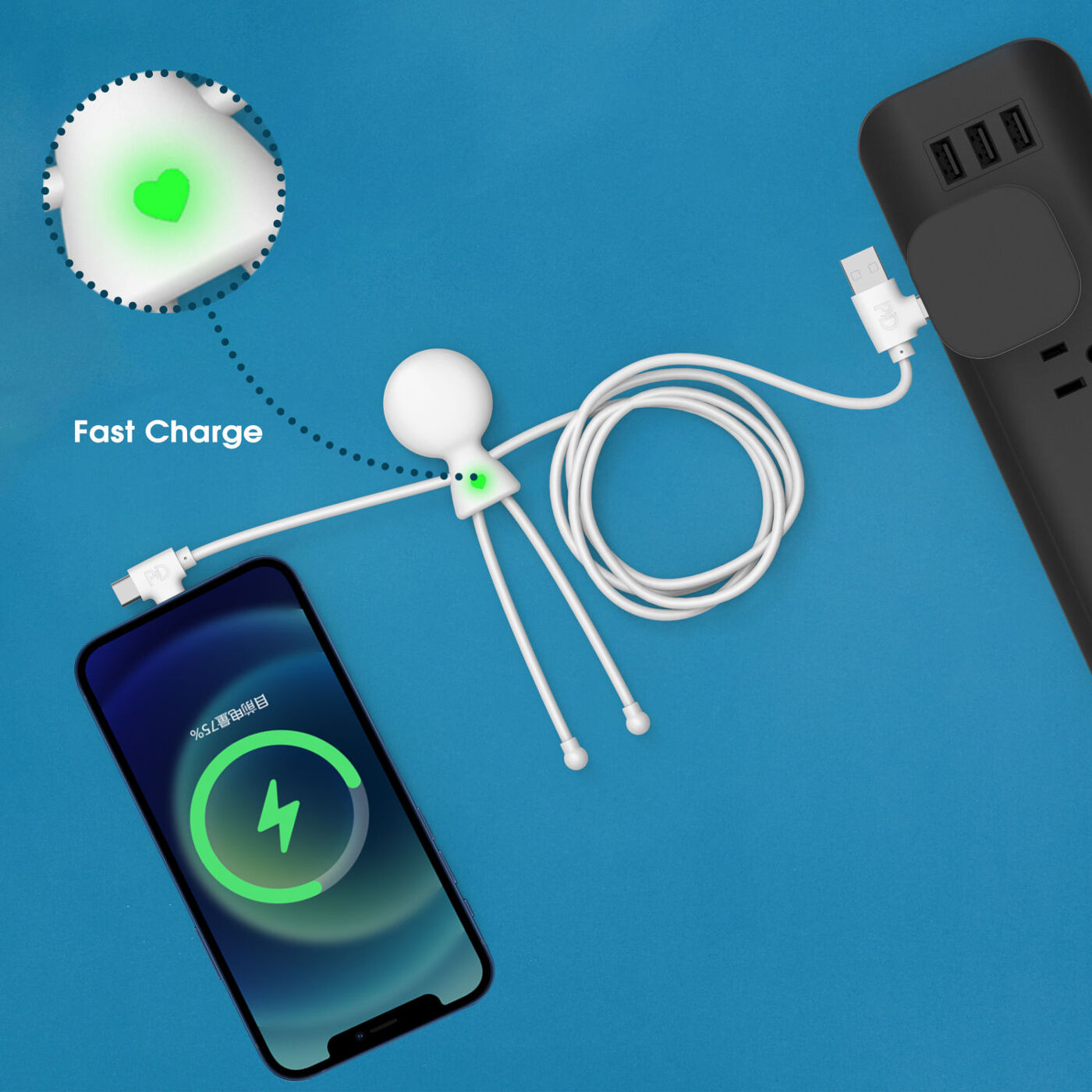 Mr Bio Fast Charge Cable