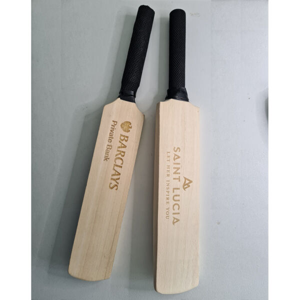 Mini Cricket Bats