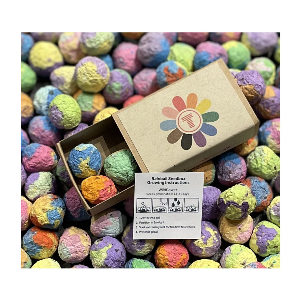 Rainball Coloured Seedball Matchbox (instructions included)