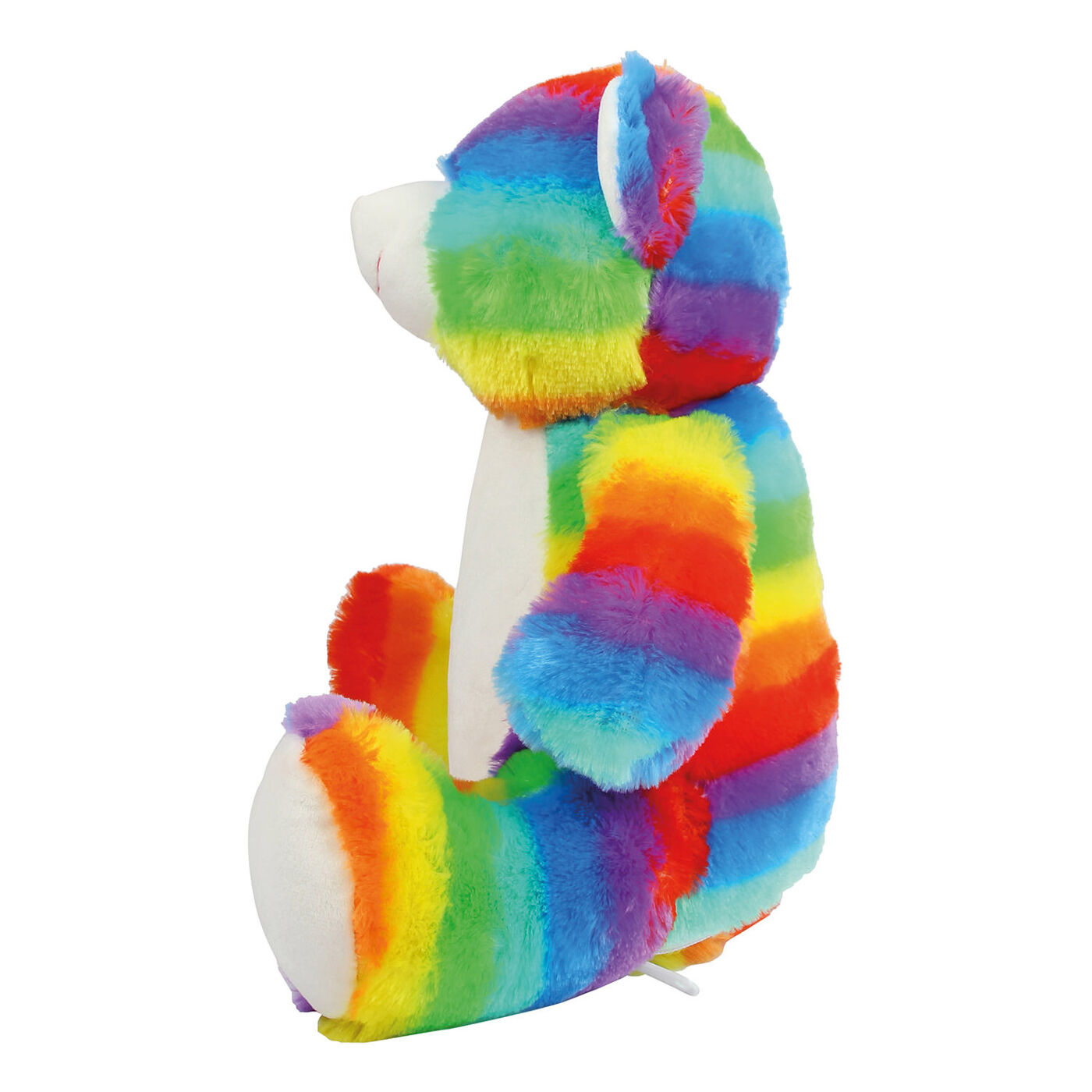 Rainbow Plush Bear