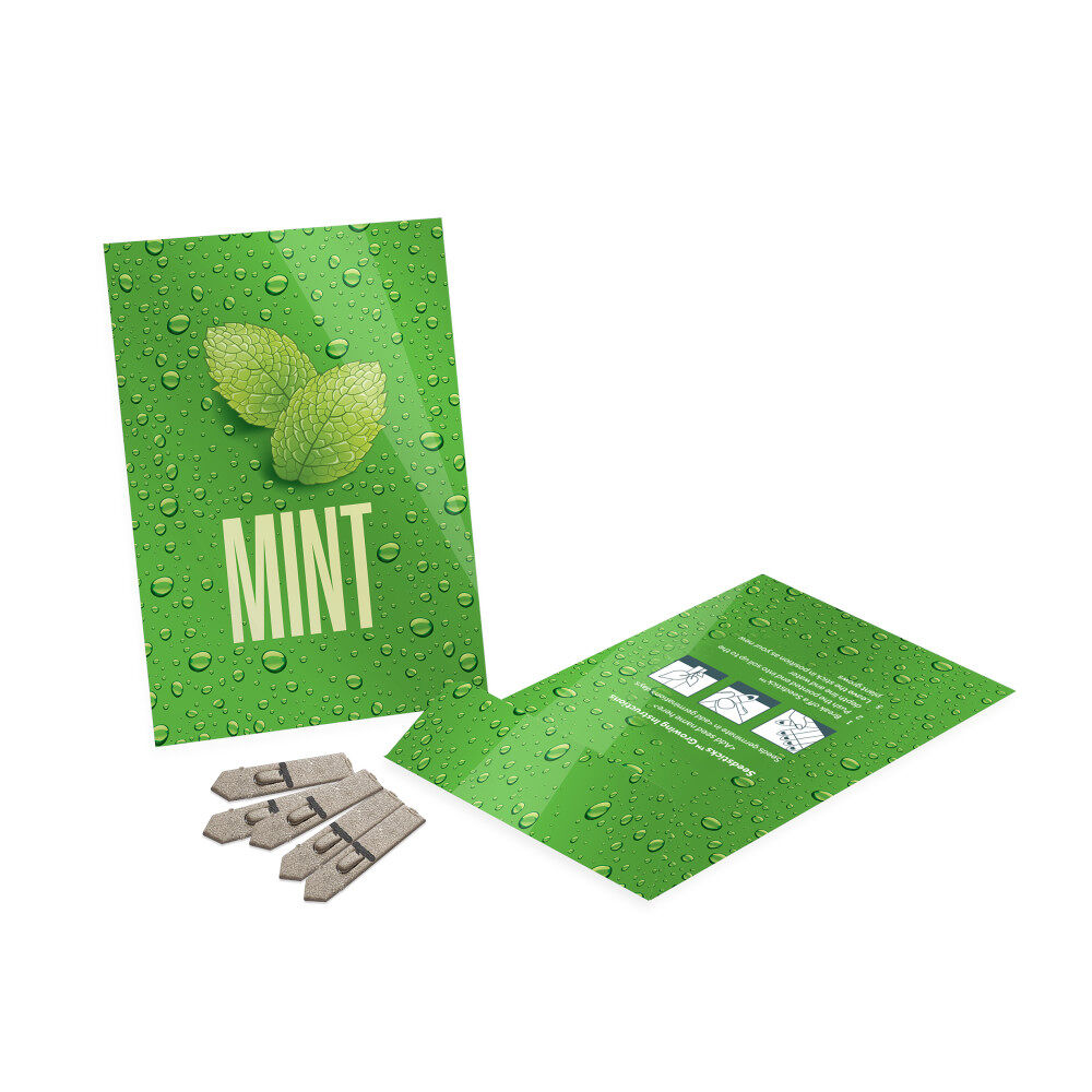 Seed Packet Envelopes (medium size, gloss finish)