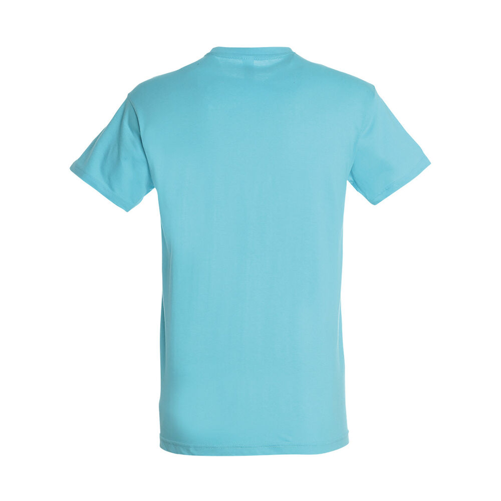 SOL'S Regent Mens T-Shirt (in atoll blue)