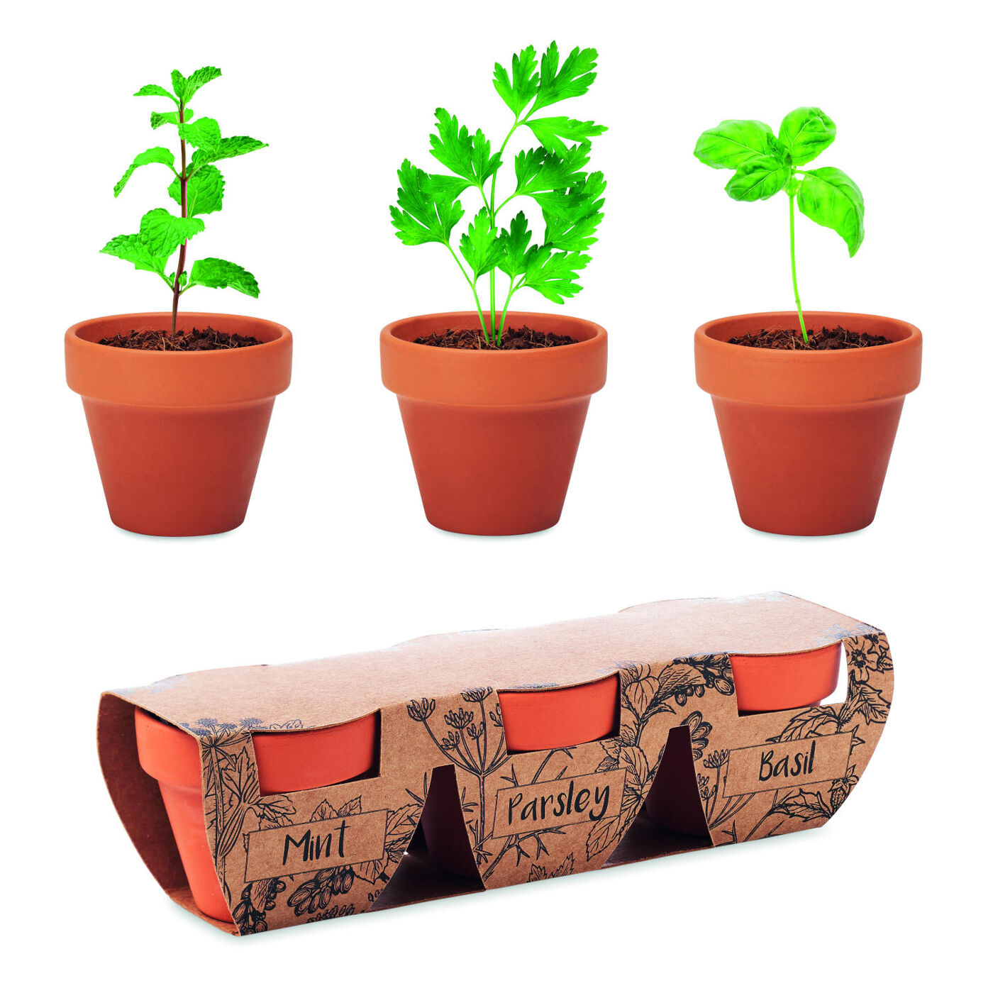 Terracotta Three Pot Herb Garden